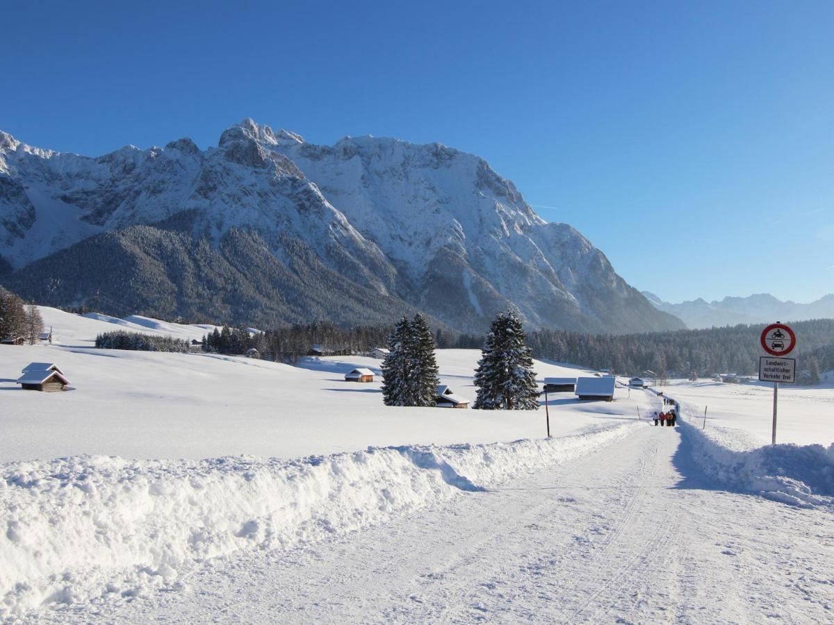 Albrecht Mittenwald